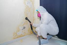  Cullman, AL Mold Removal Services Pros